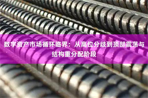数字资产市场循环临界：从高位分歧到顶部震荡与结构重分配阶段